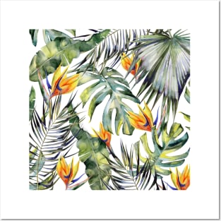 TROPICAL GARDEN B Posters and Art